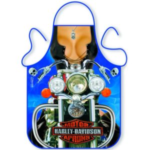 Zástera Harley Davidson